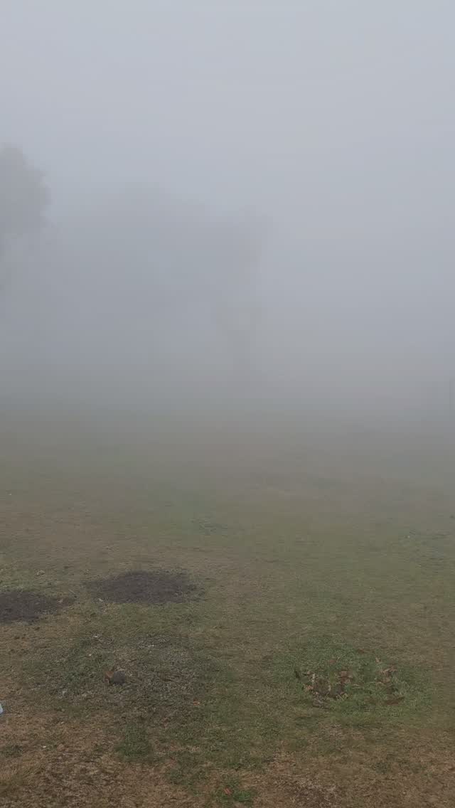 Instagram video thumbnail